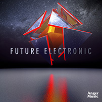 Future Electronic